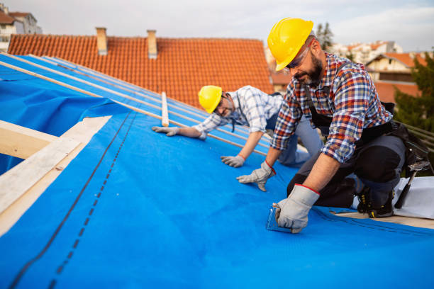 Best Roof Maintenance Services  in Emma, NC